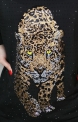 Czarna dzianinowa sukienka z kryształkami i leopardem 5064